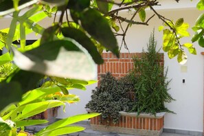 Garden - CASA SAN JOSÉ (Coatepec)