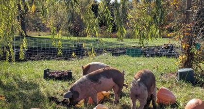 Hobby Farm and Hunting Cottage
