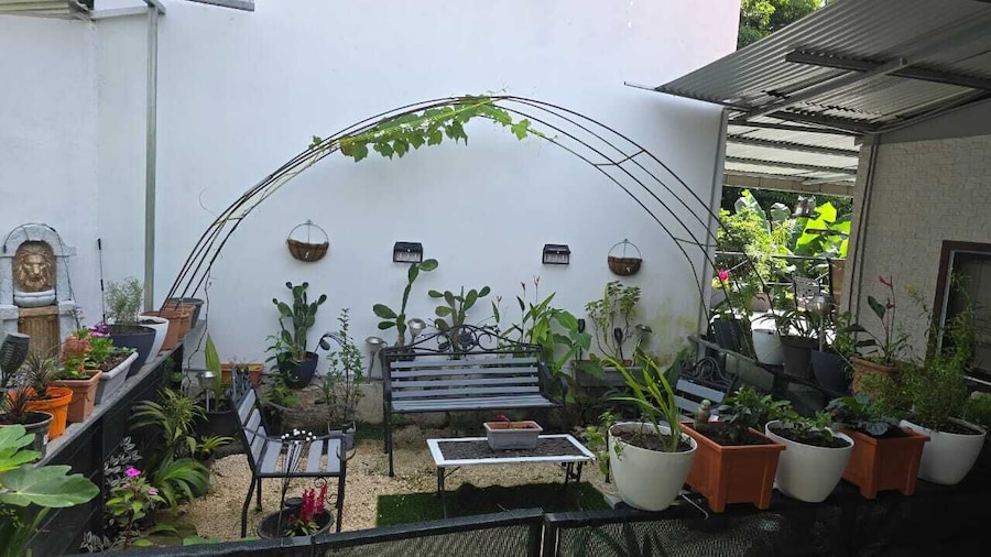 Casa Pura Vida Arenal