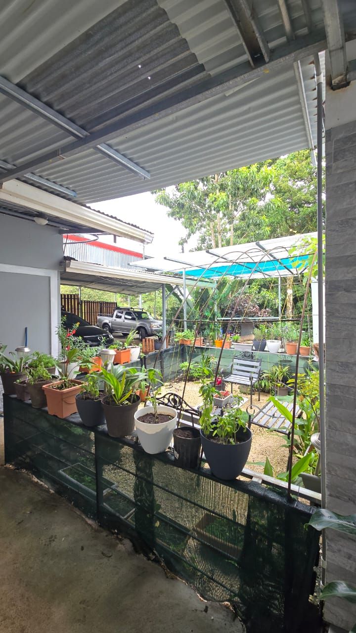 Un espace extérieur abrité, agrémenté de plantes en pot, avec une voiture garée à proximité.