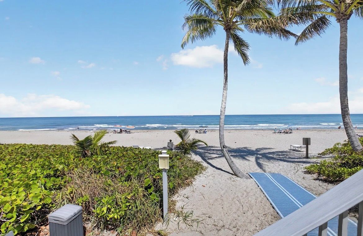 A beach with palm trees, a sandy path, and a view of the ocean.