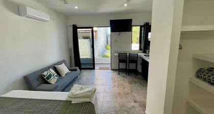 Lavish Studio w Balcony Downtown 4