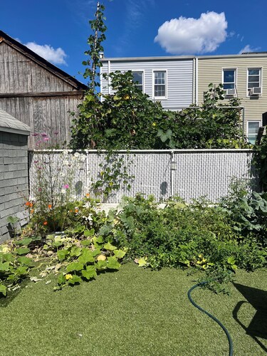 Charming 1-bedroom apartment in fabulous Ozone Park with AC