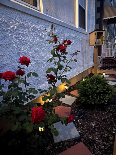 Charming 1-bedroom apartment in fabulous Ozone Park with AC