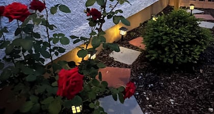 Charming 1-bedroom apartment in fabulous Ozone Park with AC