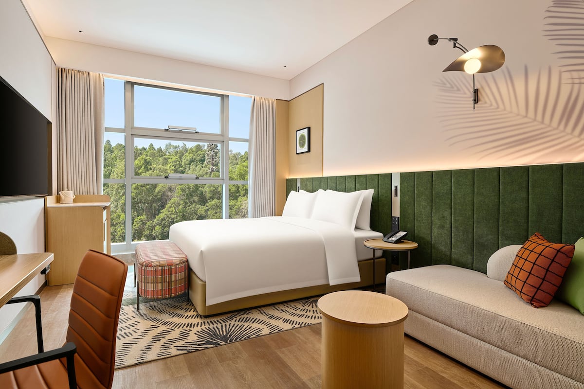 A hotel room with a bed, a sofa, a desk, a chair, a lamp, and a window with a view of trees.