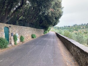 Property grounds - Historic loft overlooking the hills of Florence (Firenze)