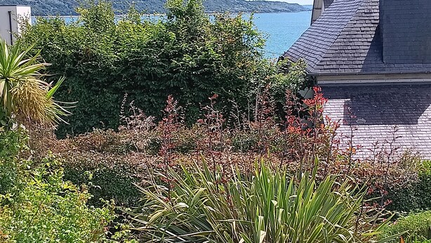 Ein Garten mit verschiedenen Pflanzen und einer Wasserlandschaft im Hintergrund.
