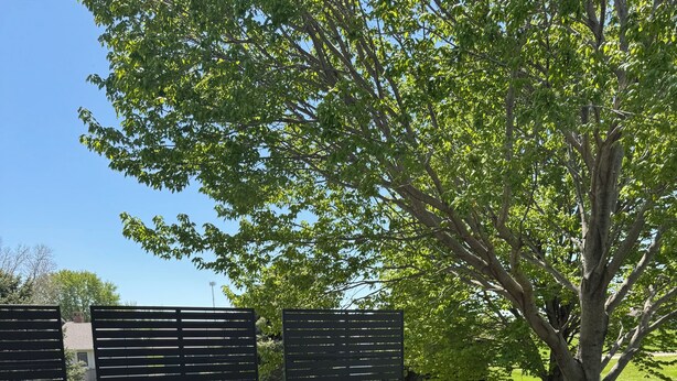 Una terraza al aire libre con dos sillas y una mesa, rodeada por una valla de madera y un árbol.