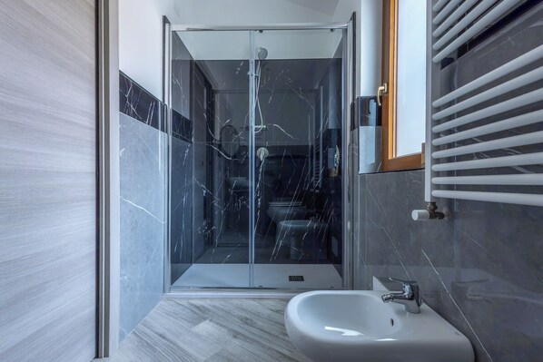 Shower, hair dryer, bidet, towels