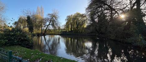 A calm river with trees and a grassy bank, reflecting the sky and sunlight.
