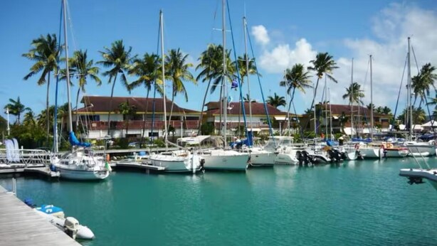 A marina with multiple boats docked, surrounded by palm trees and buildings in the background. - Charming studio overlooking Saint-François marina, golf course, lagoon & beach on foot. (Saint-François)