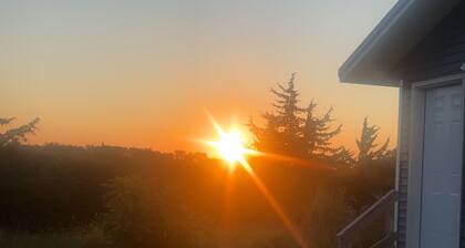 Delightful 1-bedroom cabin in Cherokee