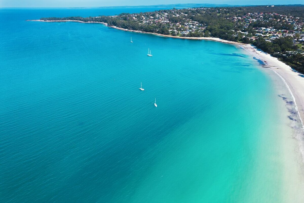 Imagen de perfil del propietario o de la propietaria