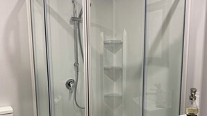 A glass-enclosed shower with a white toilet and a small sink with a bottle on the counter.