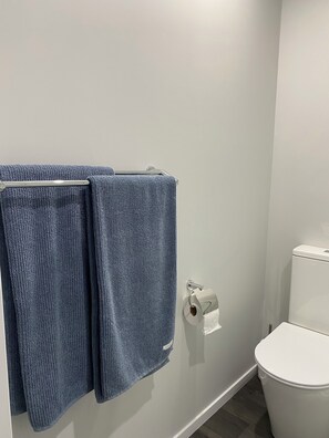 Dusche, Handtücher, Seife, Toilettenpapier