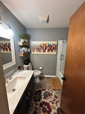 Regadera, secadora de cabello, toallas, jabón 