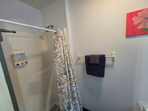 Shower, hair dryer, soap, toilet paper