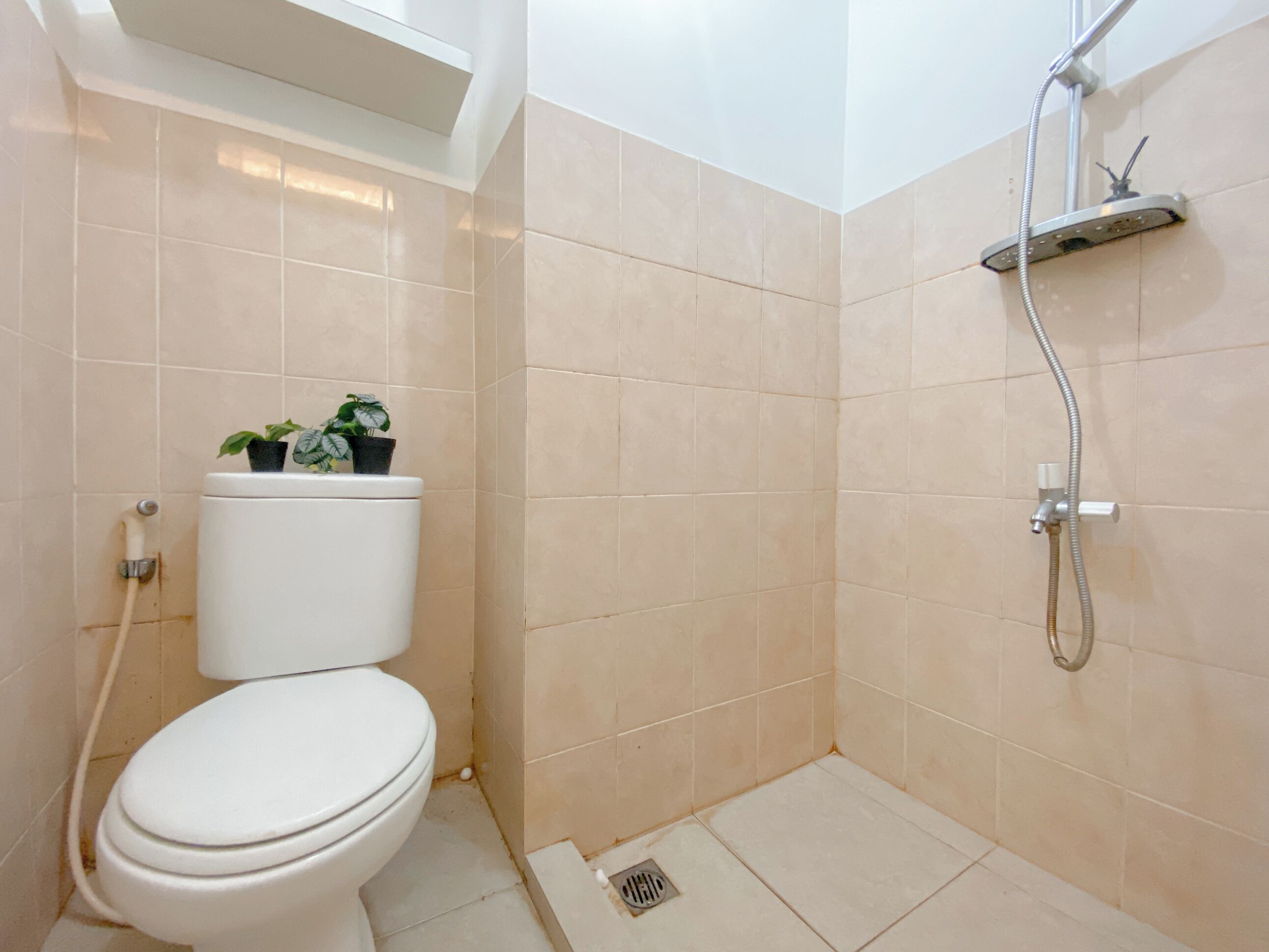 Une petite salle de bain compacte, équipée de toilettes, d’une douche et d’une plante en pot posée sur le réservoir des toilettes.