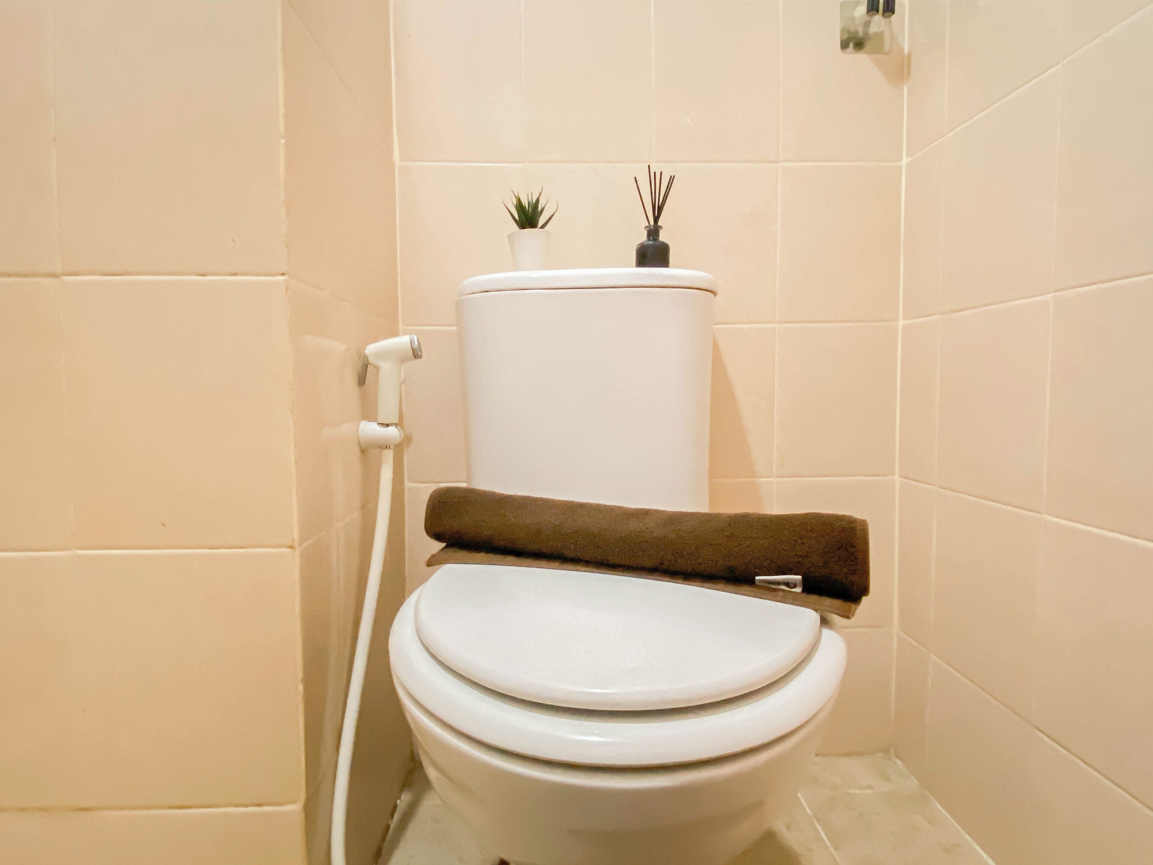 Un inodoro con tanque blanco, un dispensador de papel higiénico marrón y una pequeña planta en maceta encima.