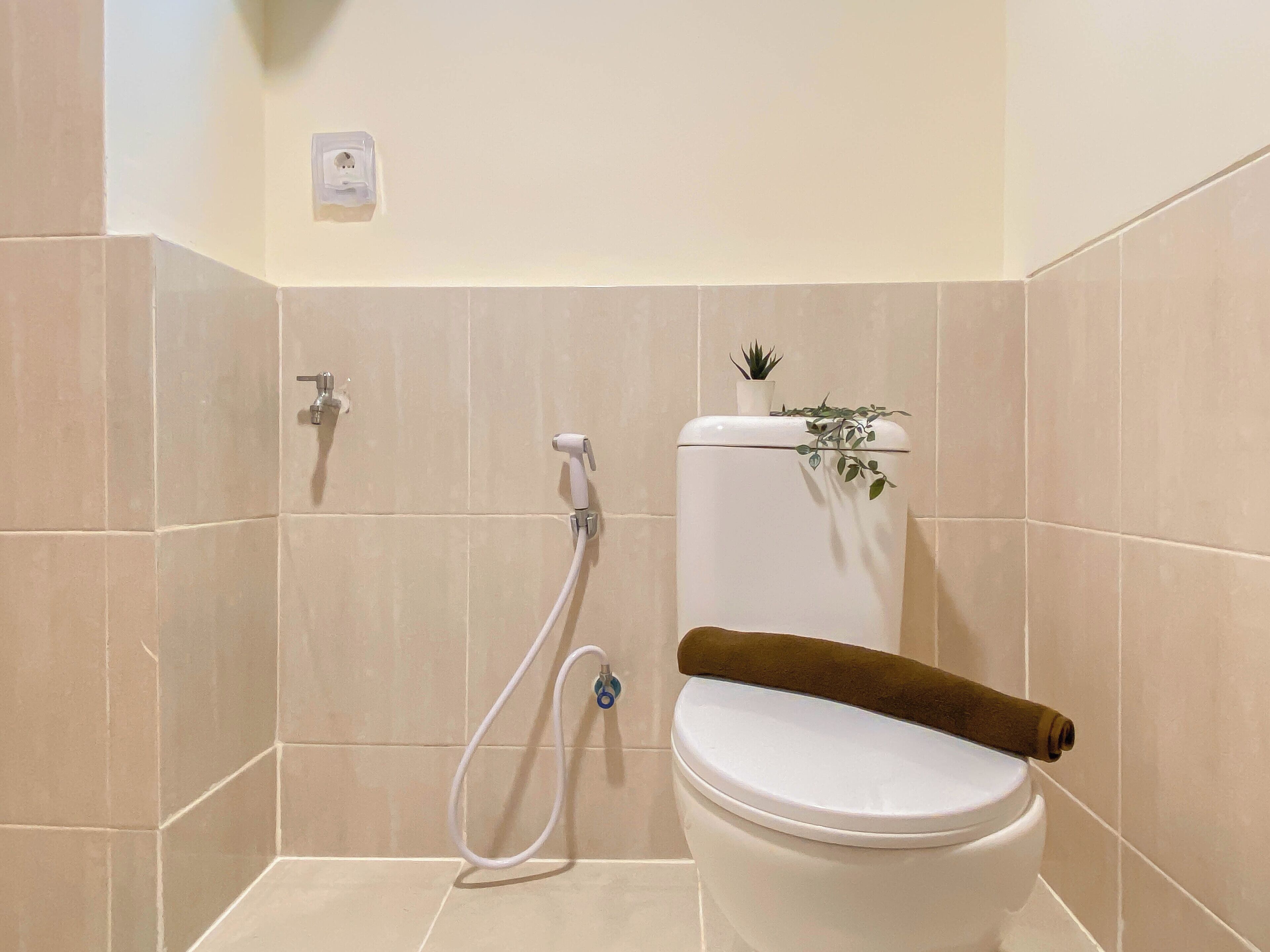 A bathroom with a toilet, a shower, and a small plant on the wall.