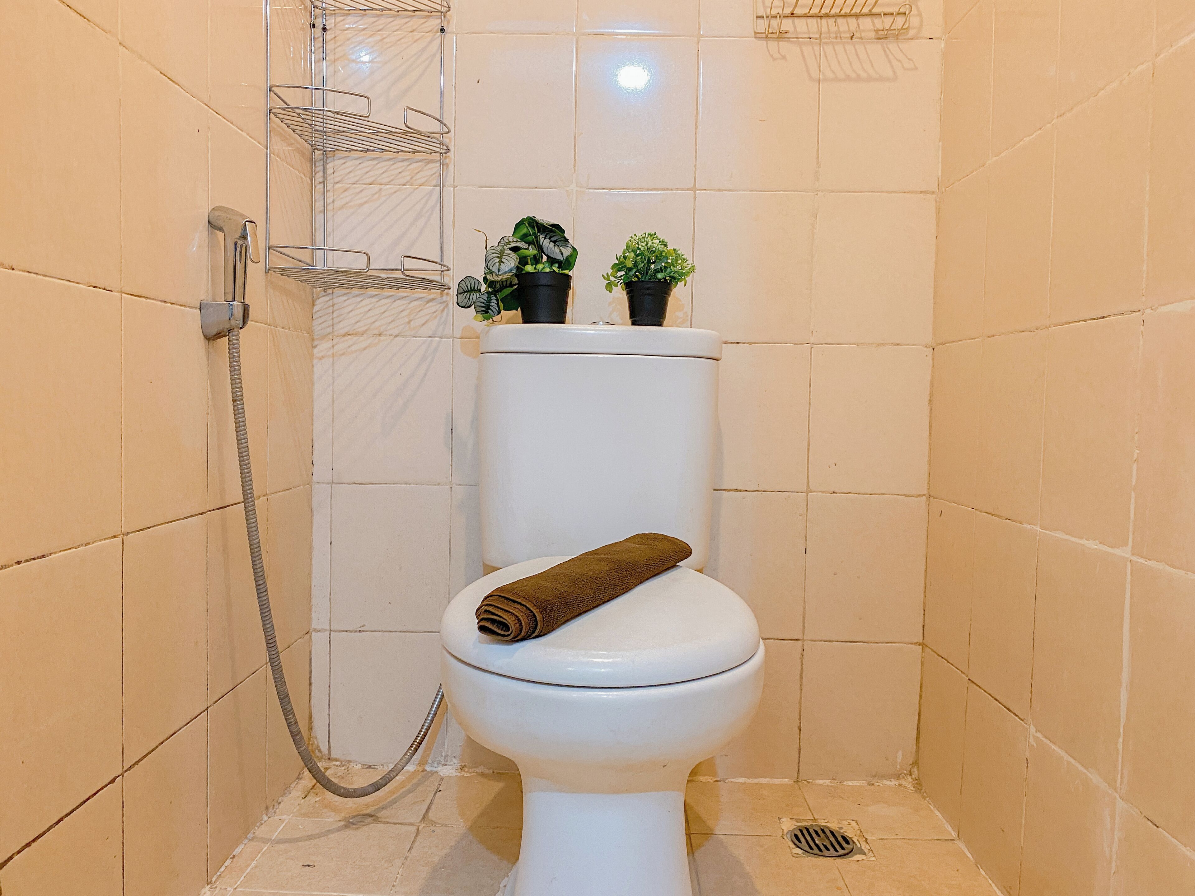A small, white toilet with a towel on the seat, a shower head, and two potted plants on the tank.