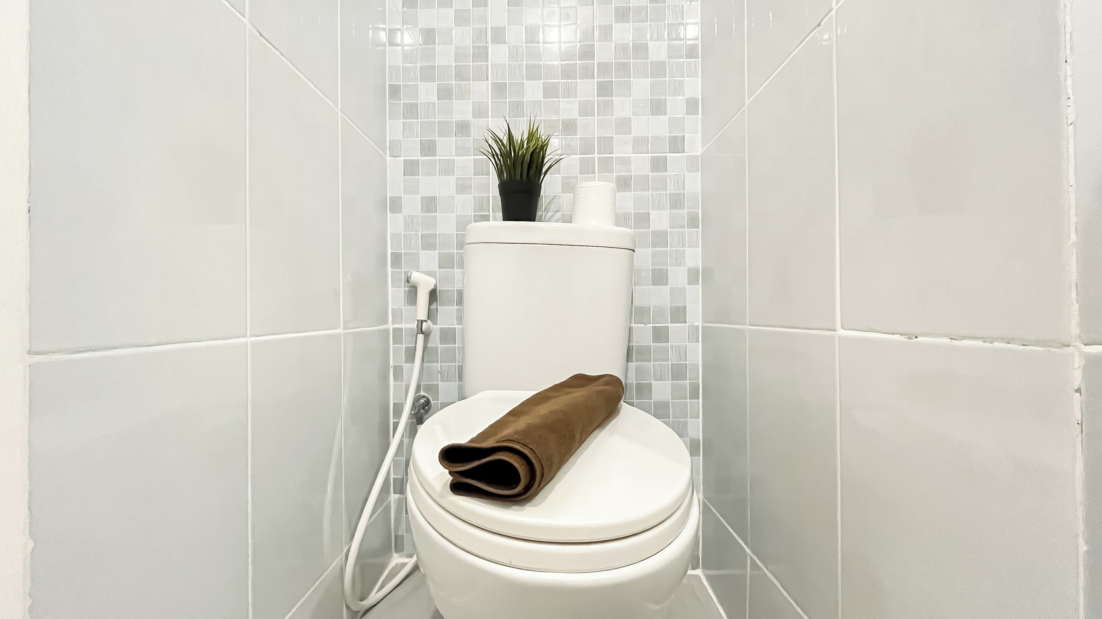 Un baño con inodoro blanco, ducha y pared de azulejos con una pequeña planta detrás del inodoro.