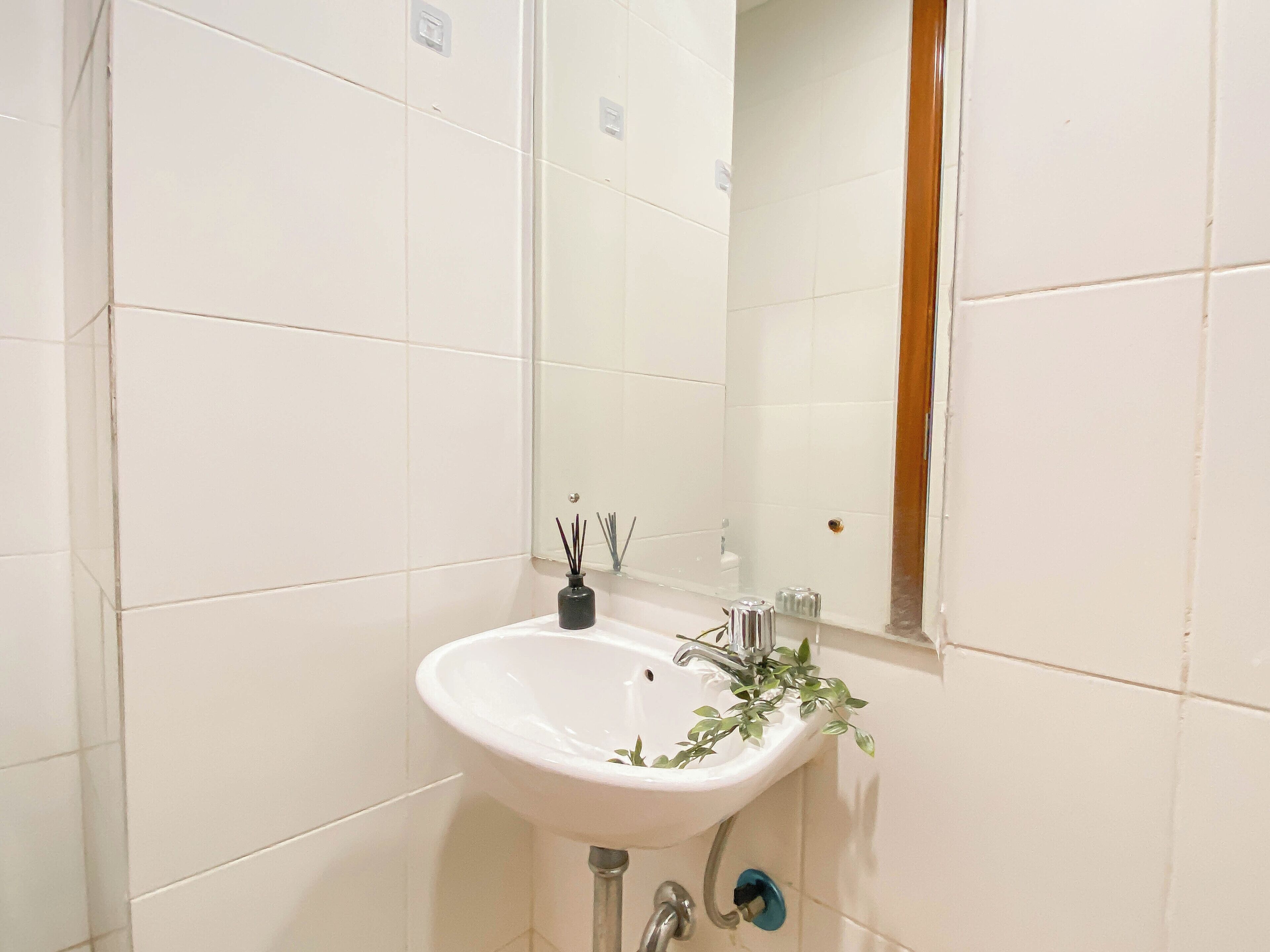 Une salle de bain avec des carreaux blancs, un lavabo blanc, un miroir et une petite plante posée sur le lavabo.