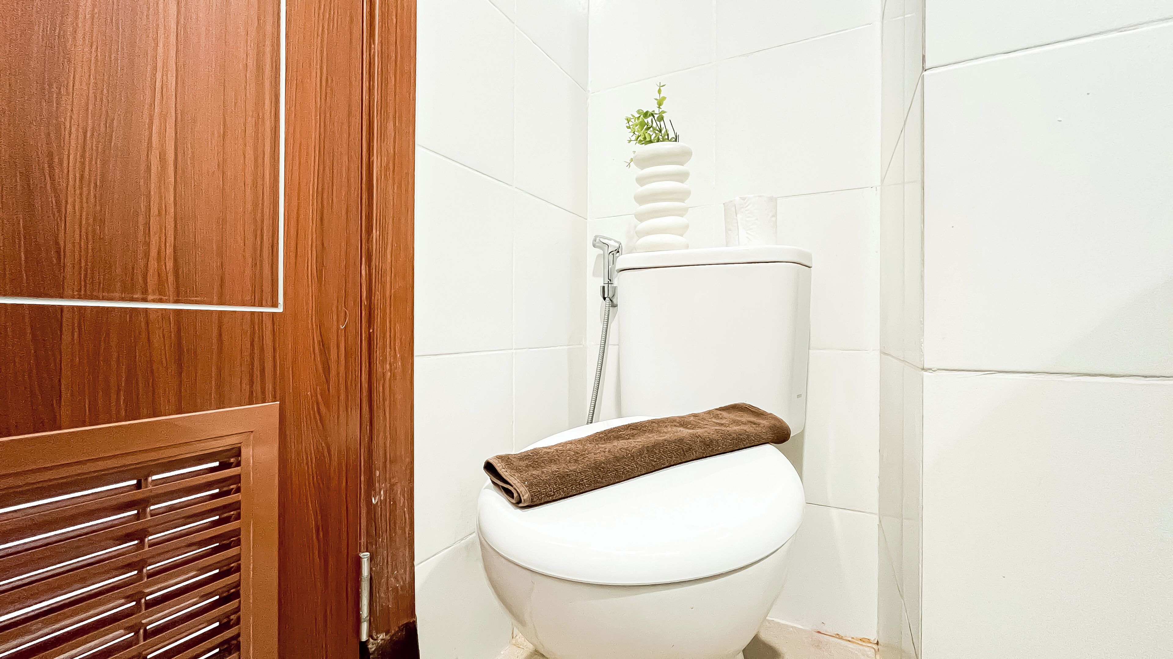 A bathroom with a white toilet, a wooden door, and a small potted plant on the wall.