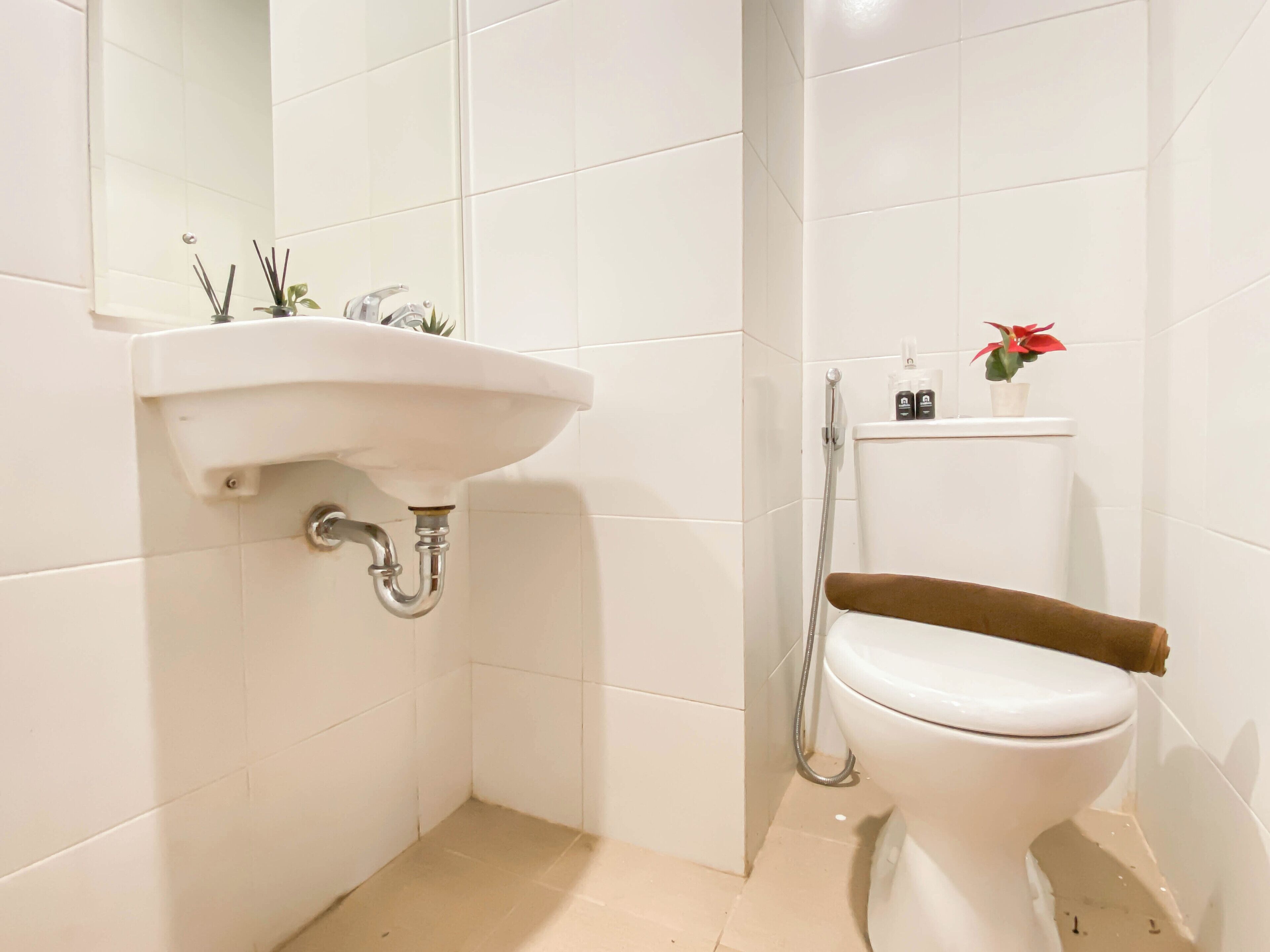A small bathroom with a white sink, toilet, and shower.