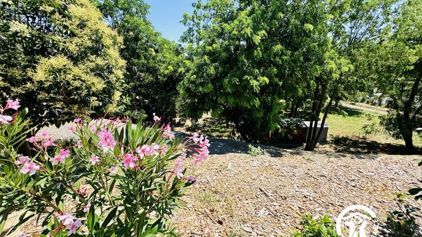 Un jardí amb diverses plantes i arbres, un camí de grava i una petita caseta al fons.