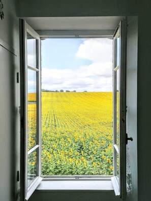Interior - Gite du Cammas Blanc (VILLEPINTE)