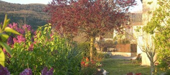 L'Olivier - QUILLAN - Gîte