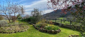 L'Olivier - QUILLAN - Gîte