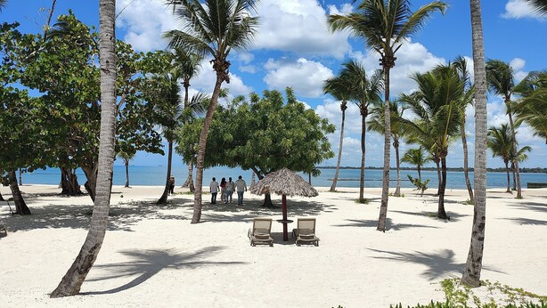 A beach with palm trees, a thatched-roof hut, and two empty beach chairs.