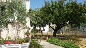 Un jardin avec un banc blanc, un arbre et un tuyau d’arrosage.