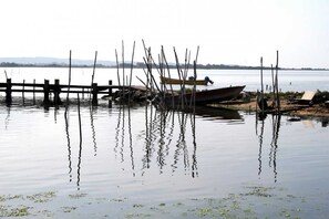 Miscellaneous - Etang view - BAGES (BAGES)