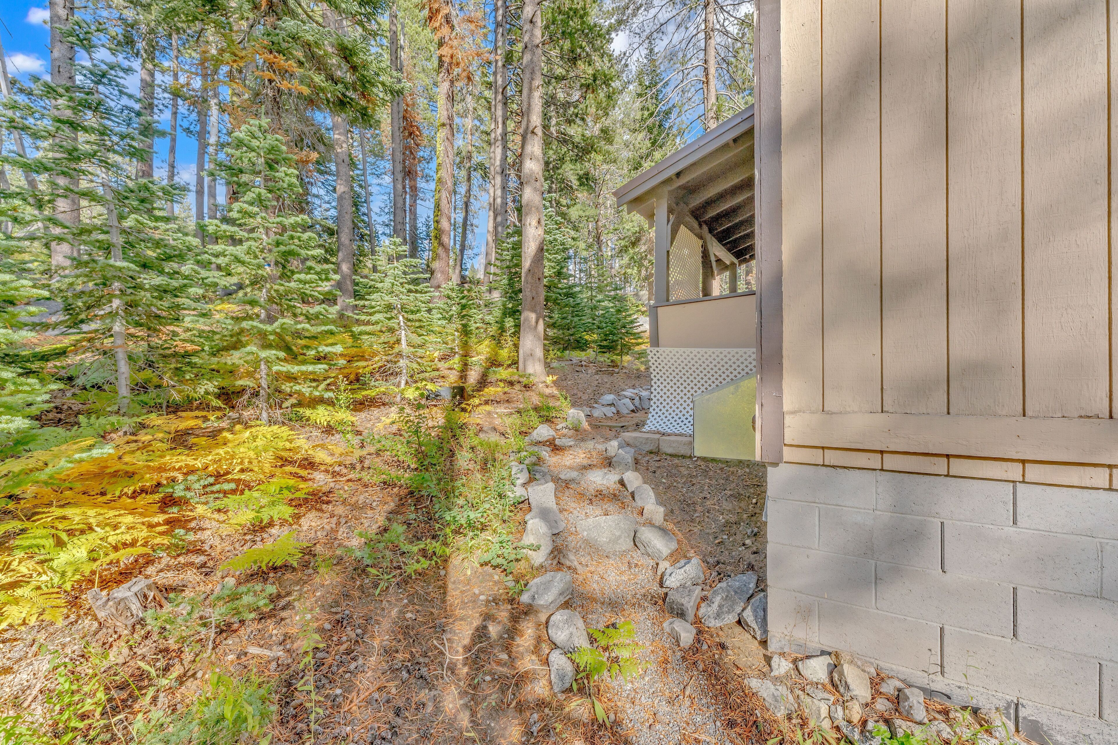 A forested area with a stone pathway leading to a building with a wooden exterior.