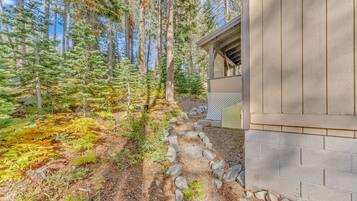 A forested area with a stone pathway leading to a building with a wooden exterior.