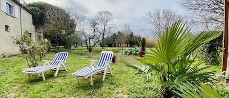 A grassy outdoor area with two striped lounge chairs and a palm plant.