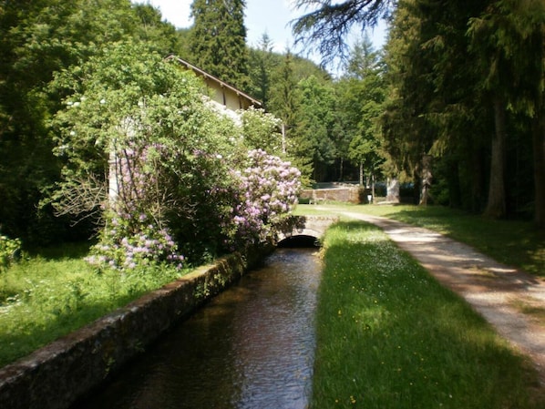 Property grounds - Le Gîte de Pery - LACOMBE (LACOMBE)