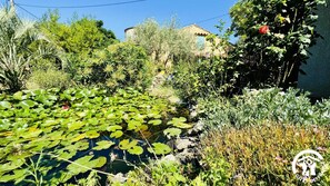 Jardines del alojamiento