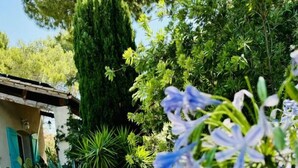 A garden with various plants and flowers, a wooden chair, and a building with a blue door. - Le Mas des Oliviers - AZILLE (AZILLE)
