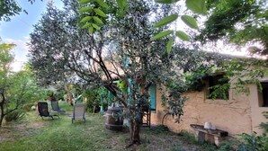 A garden with a tree, chairs, and a building. - Le Mas des Oliviers - AZILLE (AZILLE)