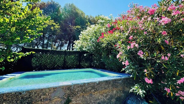A swimming pool surrounded by lush greenery and flowering plants. - Le Mas des Oliviers - AZILLE (AZILLE)