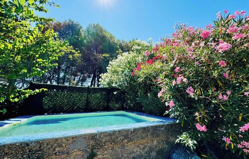 Le Mas des Oliviers - AZILLE