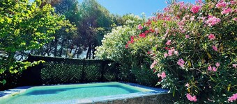 Le Mas des Oliviers - AZILLE