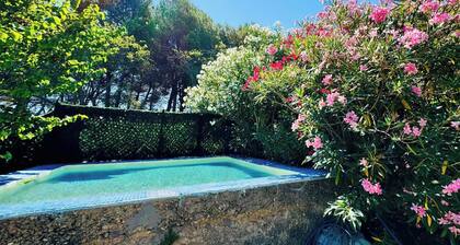 Le Mas des Oliviers - AZILLE