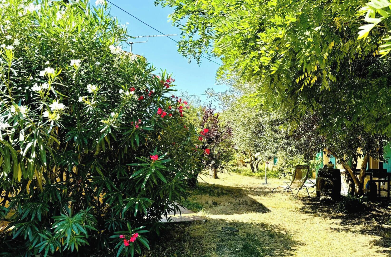 Un jardin agrémenté de diverses plantes et arbres, un sentier et du mobilier d’extérieur.