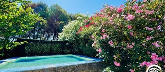 Le Mas des Oliviers - AZILLE